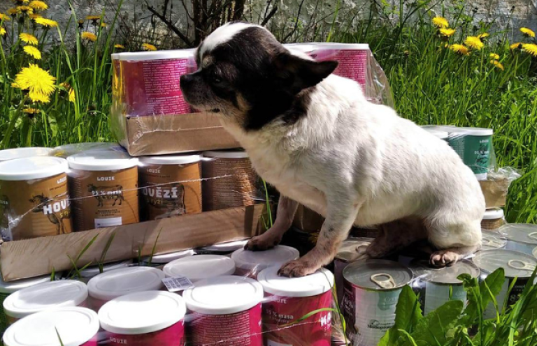 Vďaka Vám sme mohli darovať stovky konzerv do útulkov