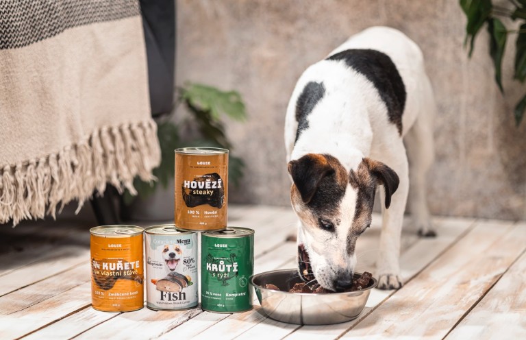 Prečo je dôležité kŕmiť psa prevažne mäsom ?